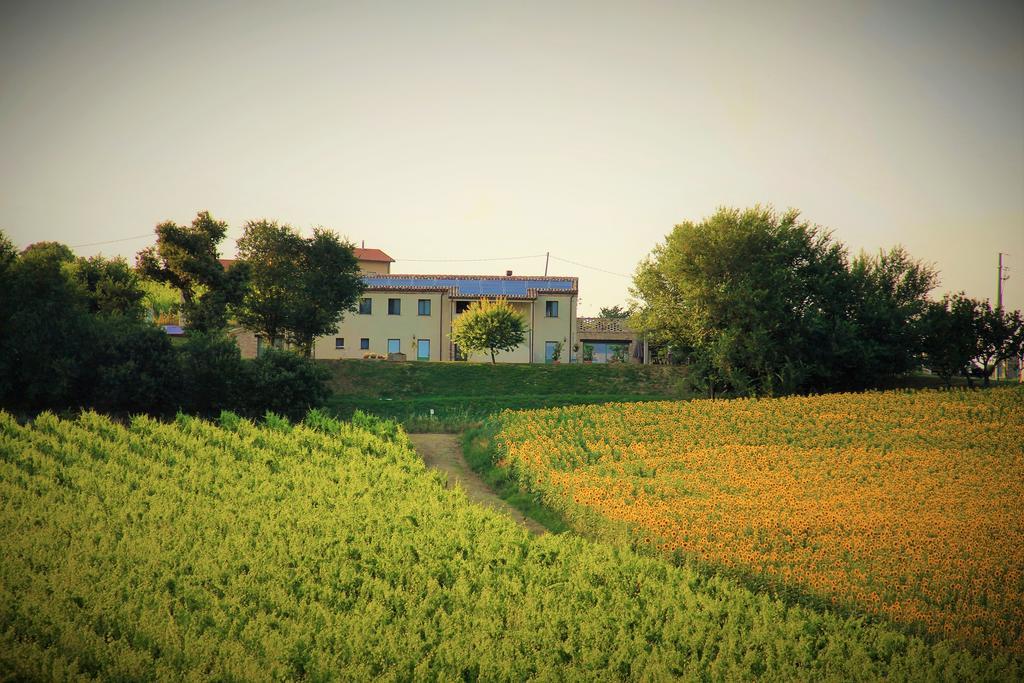 B&B Ceresa - Country House Loreto Eksteriør bilde
