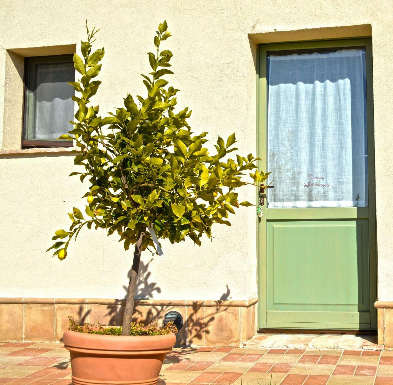 B&B Ceresa - Country House Loreto Eksteriør bilde